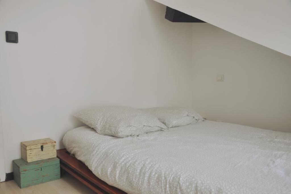 Ferienwohnung Duplex Avec Belle Terasse Au Centre De Bayonne Exterior foto